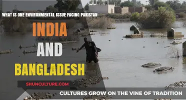 South Asia's Water Crisis: A Shared Environmental Challenge for Pakistan, India, Bangladesh