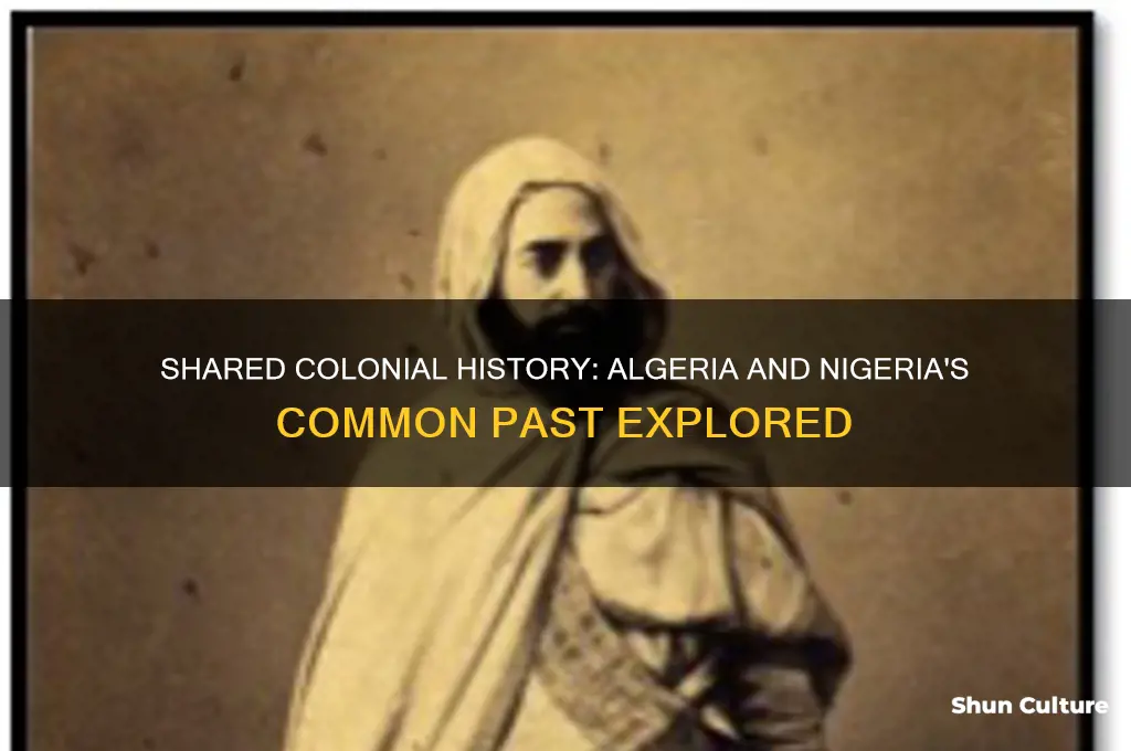 what is one similarity between algeria an nigeria