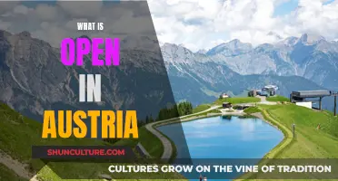 Exploring Austria's Open Attractions: A Guide to Unmissable Experiences