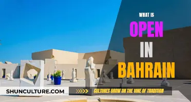 Exploring Bahrain: What's Open and Happening Now