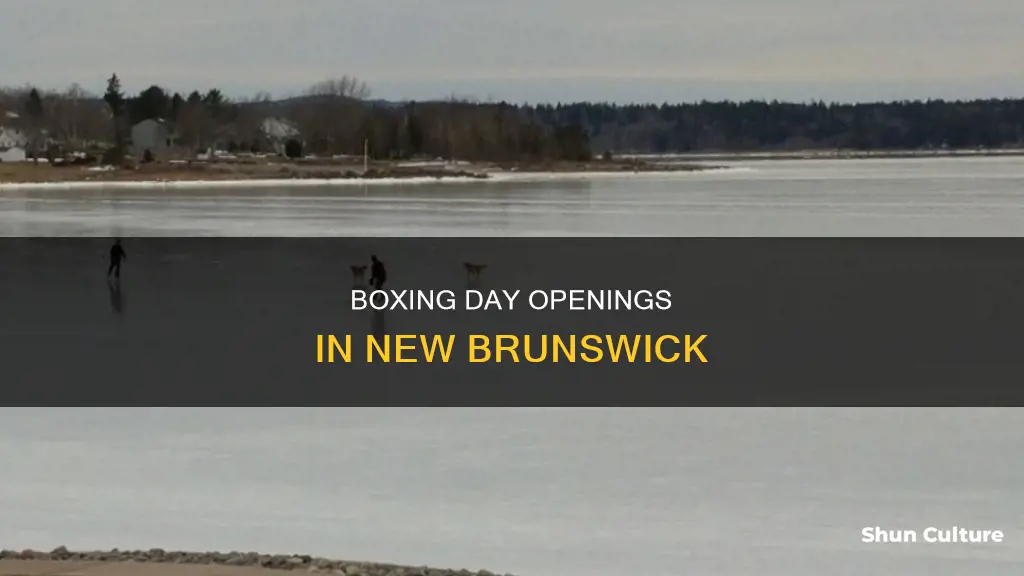 what is open on boxing day in new brunswick