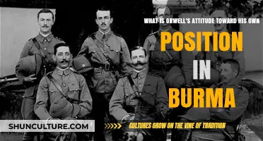 Orwell's Reflections: A Critical View of His Burmese Experience