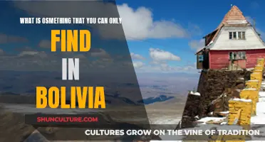 Unique to Bolivia: The Extraordinary and the Unexpected