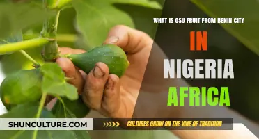 Discovering the Unique OSU Fruit of Benin City, Nigeria
