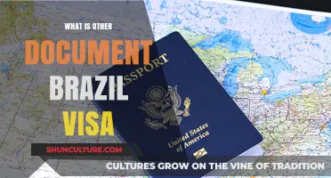 Understanding Brazil Visa's 'Other Document' Requirement: A Comprehensive Guide