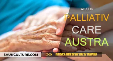 Palliative Care in Australia: Understanding the Basics