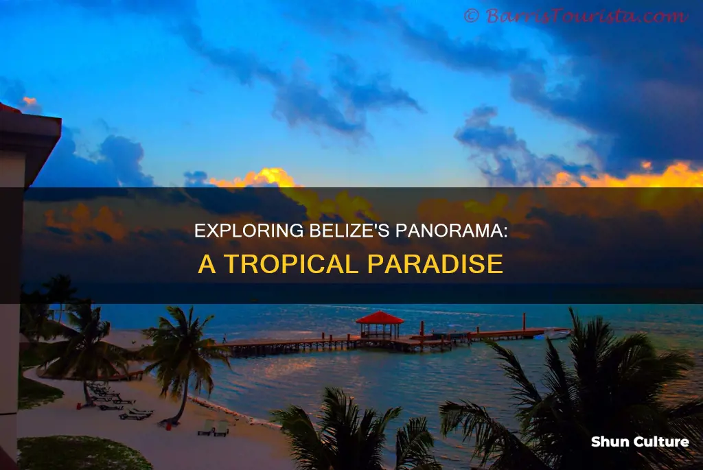 what is panorama in belize