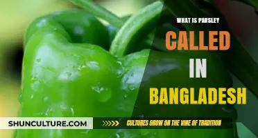 Parsley's Local Name: Unveiling Bangladesh's Unique Culinary Herb Terminology