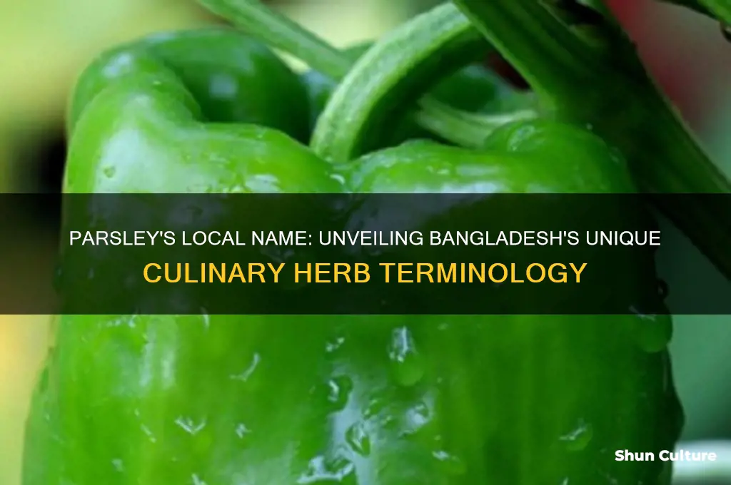 what is parsley called in bangladesh