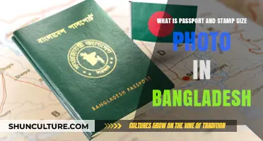 Understanding Passport and Stamp Size Photos in Bangladesh: A Complete Guide