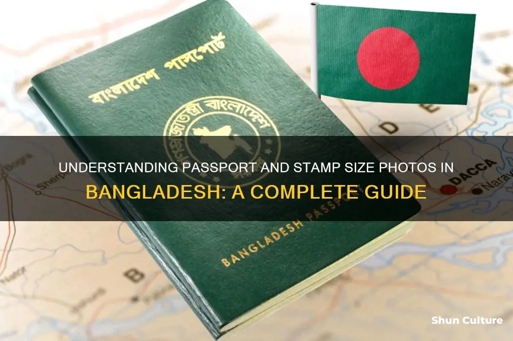 what is passport and stamp size photo in bangladesh