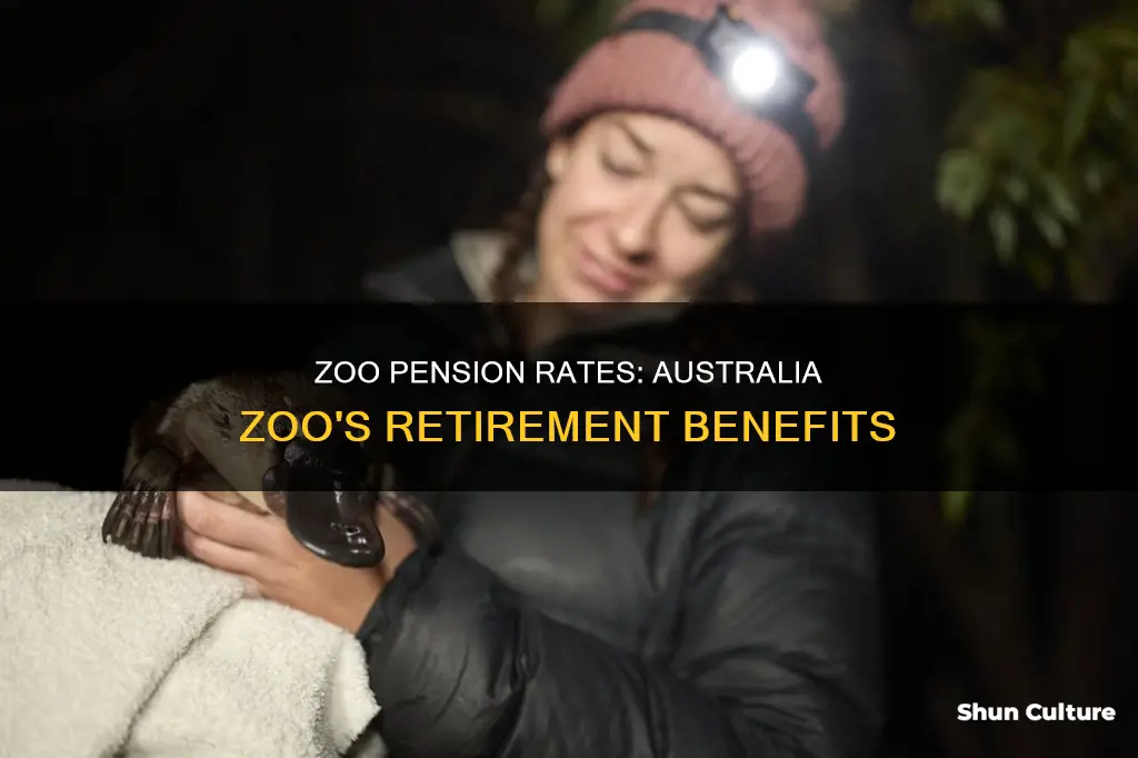 what is pension rate at the australia zoo