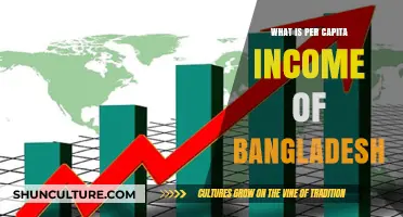 Understanding Bangladesh's Per Capita Income: Trends, Growth, and Economic Insights