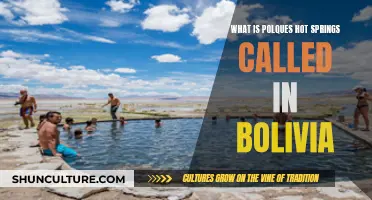 Exploring Polques Hot Springs in Bolivia's Andes