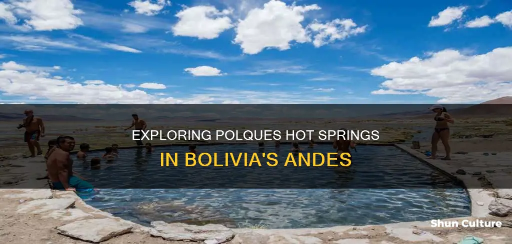 what is polques hot springs called in bolivia