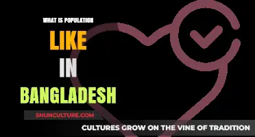 Exploring Bangladesh's Population: Demographics, Growth, and Urbanization Trends