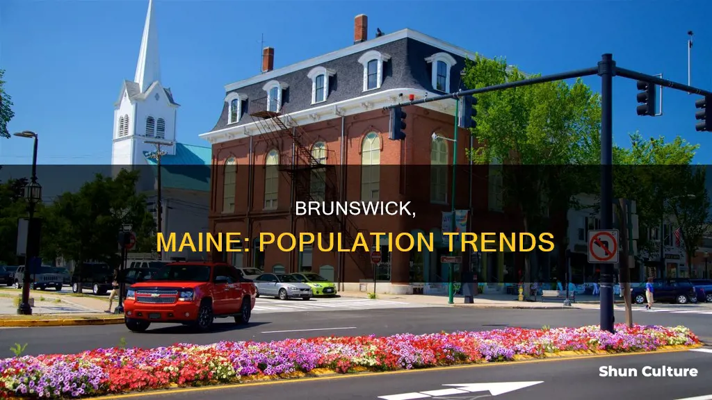 what is population of brunswick maine