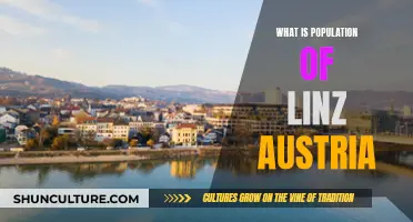 Linz's Population: A Comprehensive Overview of Austria's Second City