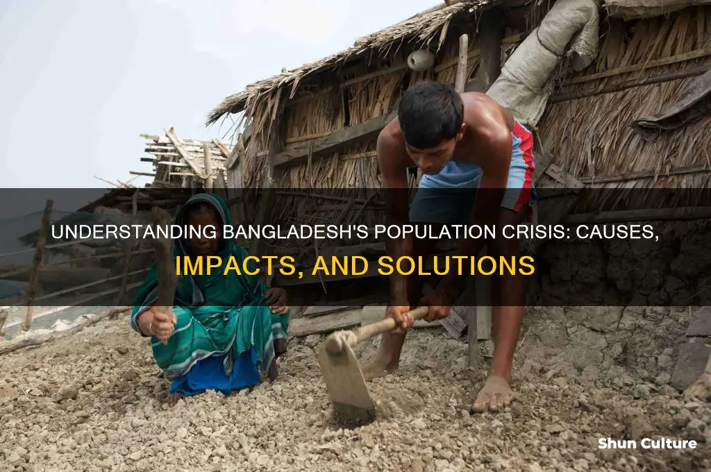 what is population problem in bangladesh