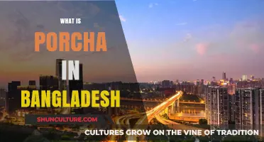 Understanding Porcha: A Vital Land Record System in Bangladesh