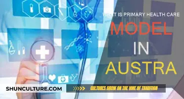 Australia's Primary Health Care Model: Understanding the Basics