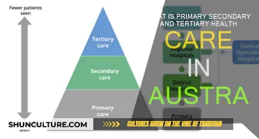 Understanding Australia's Healthcare System: Primary, Secondary, Tertiary
