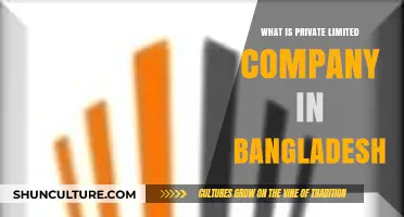 Understanding Private Limited Companies in Bangladesh: Structure, Benefits, and Registration