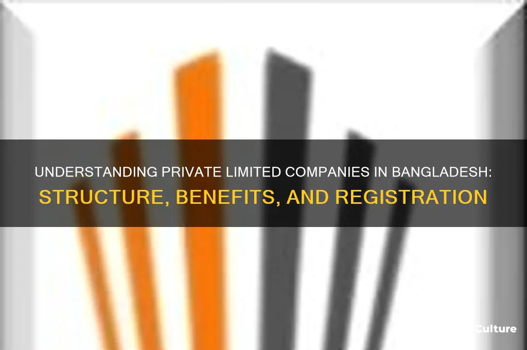 what is private limited company in bangladesh