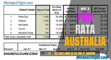 Understanding Pro Rata in Australia: Explained