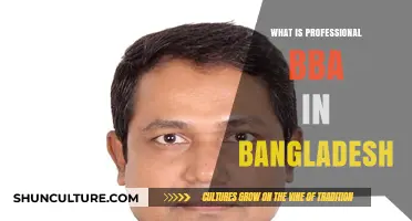 Exploring Professional BBA Programs in Bangladesh: Opportunities and Benefits