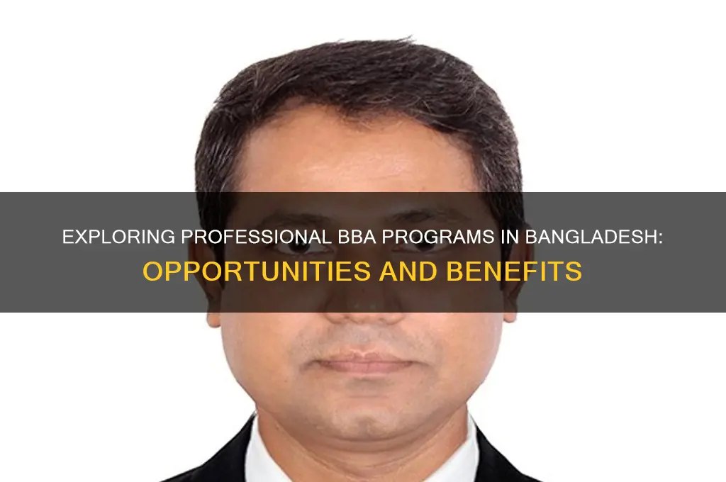 what is professional bba in bangladesh