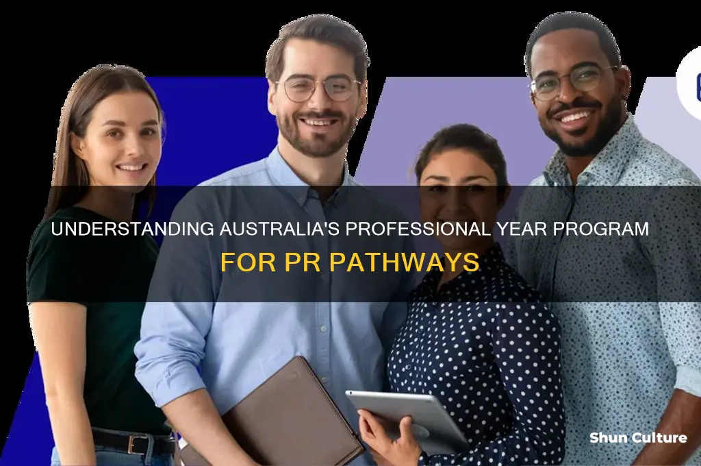 what is professional year in australia for pr