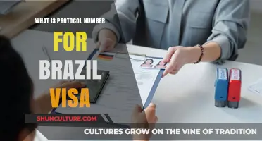 Understanding Brazil Visa Protocol Number: Essential Guide for Travelers