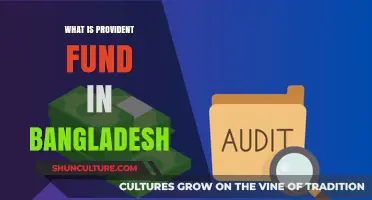 Understanding Bangladesh's Provident Fund: Benefits, Contributions, and Withdrawal Rules