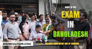 Understanding Bangladesh's PSC Exam: Purpose, Structure, and Preparation Tips