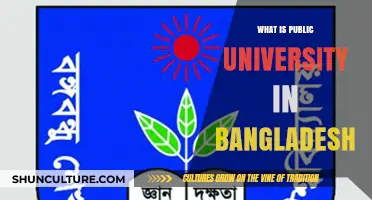 Understanding Public Universities in Bangladesh: Structure, Admission, and Opportunities