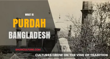 Understanding Purdah in Bangladesh: Tradition, Culture, and Modern Perspectives