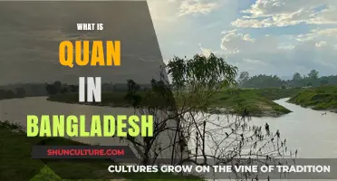 Understanding Quan: Its Role and Significance in Bangladesh Today