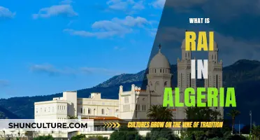 Understanding Algeria's Traditional Currency: What is Rai and Its Significance