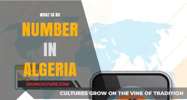 Understanding Algeria's RC Number: Purpose, Importance, and Application Process
