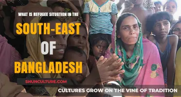 Bangladesh's Refugee Crisis: Understanding the Situation in the South-East Region
