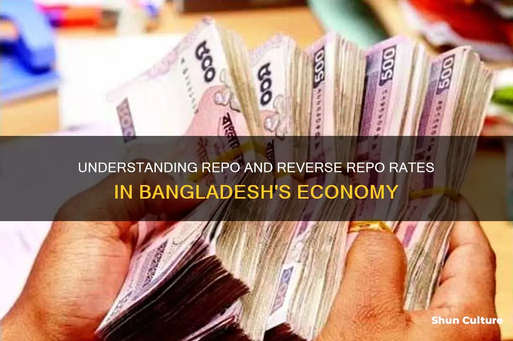 what is repo and reverse repo in bangladesh