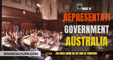 Understanding Australia's Representative Government System