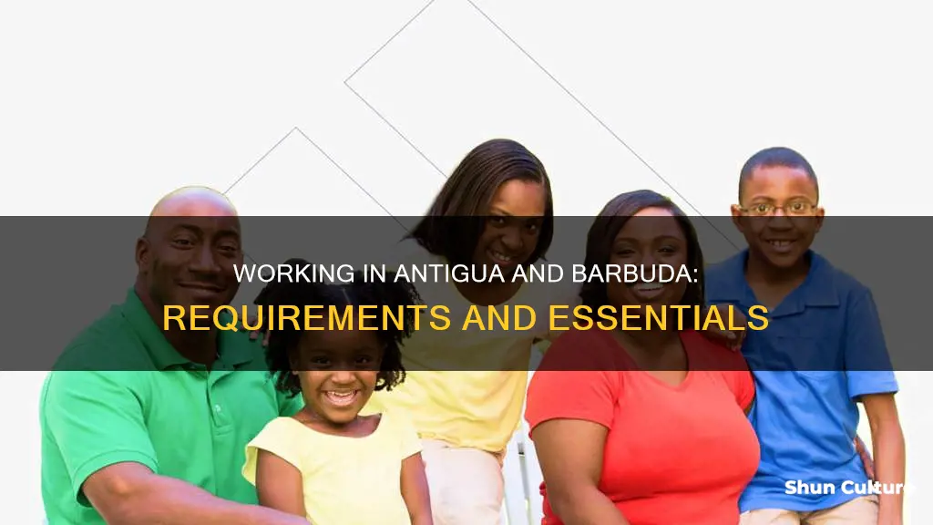 what is required to work in antigua barbuda