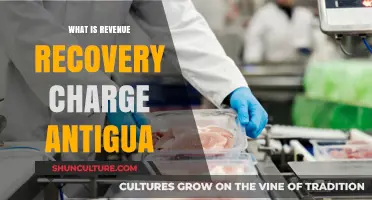 Understanding Antigua's Revenue Recovery Charge: A Comprehensive Guide