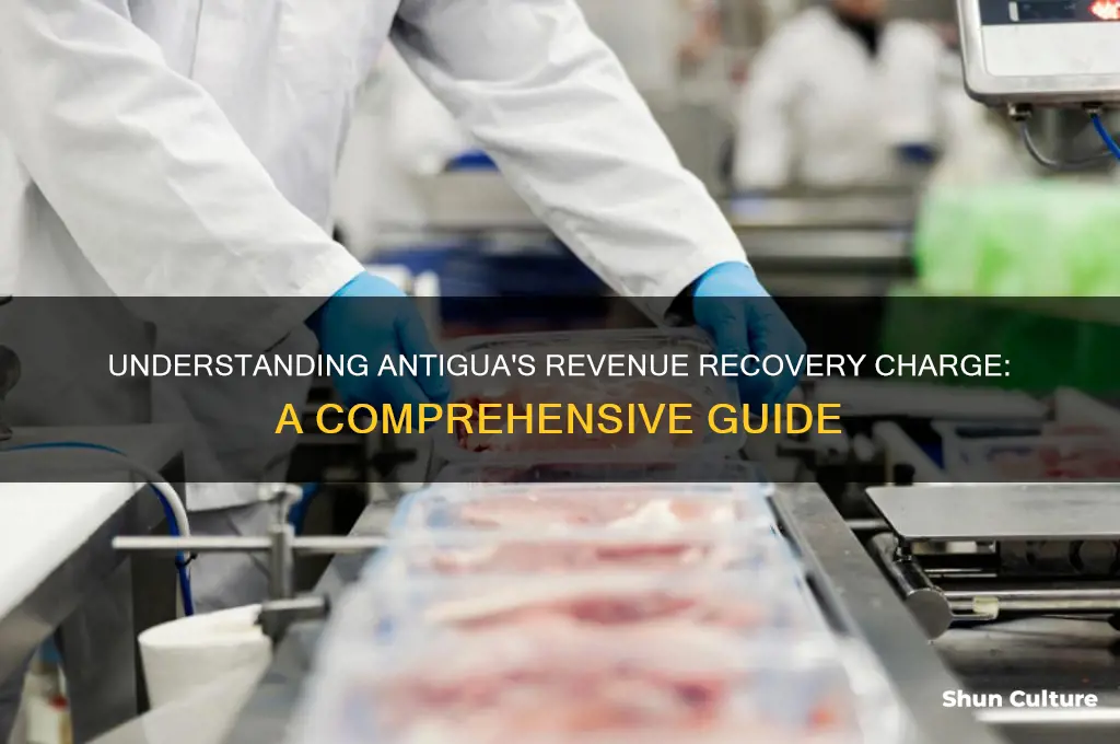 what is revenue recovery charge antigua