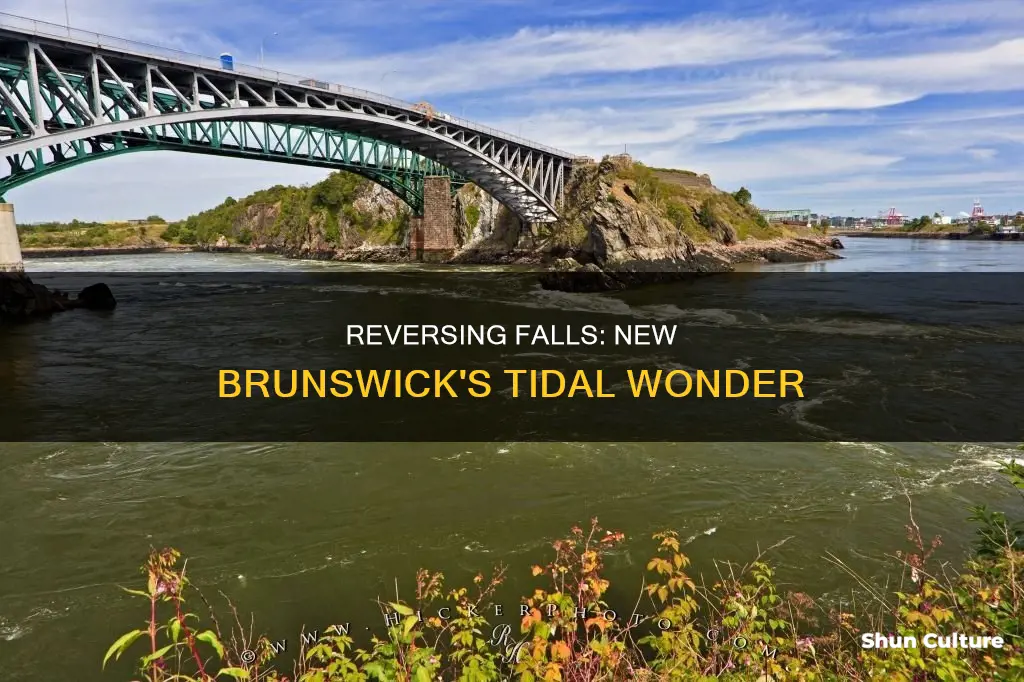 what is reversing falls in new brunswick