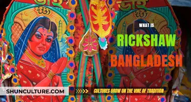Exploring Bangladesh's Iconic Rickshaw Culture: History, Impact, and Evolution