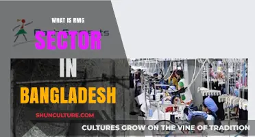 Understanding Bangladesh's RMG Sector: Growth, Impact, and Global Influence