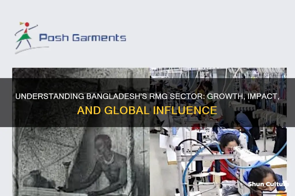 what is rmg sector in bangladesh